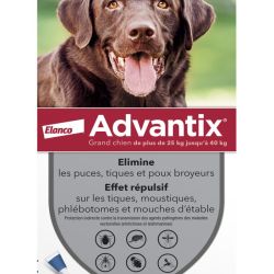 Advantix Grand Chien Pipe4Ml6