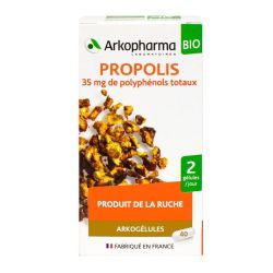 Propolis Bio Arkog Gelul 40